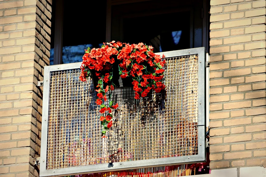 Balkon met rode bloemen aan een Haagse gevel
